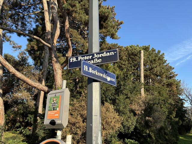 Das Gebiet befindet sich an der Grenze zu Währing.  | Foto: Laura Rieger/MeinBezirk