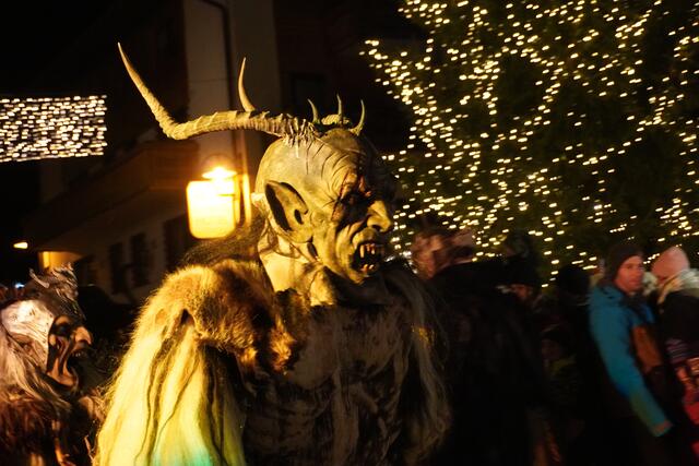 Axamer Jungtuifl im weihnachtlichen Ambiente ...