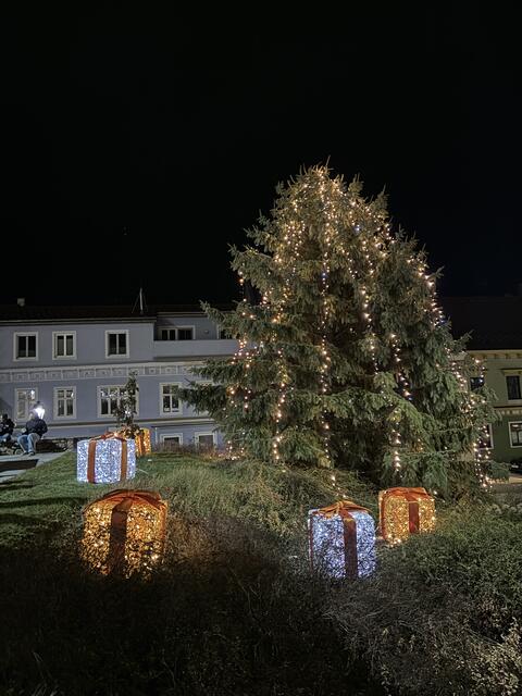 Erleuchterter Weihnachtsbaum beim Waidhofner Rathaus | Foto: Daniel Schmidt