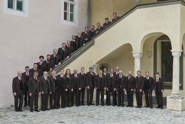 Der Männergesangsverein Almrose Radenthein mit seinen momentanen Mitgliedern. | Foto: MGV Almrose Radenthein