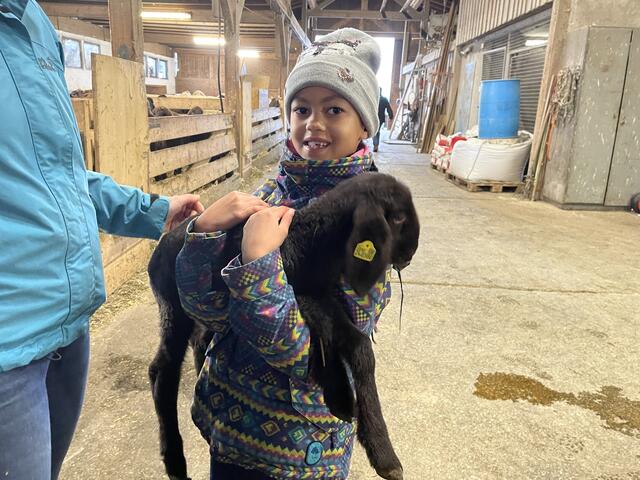 Schafe kennenlernen auf den Maxnhof in Arzl 2023. | Foto: Martina Obertimpfler 