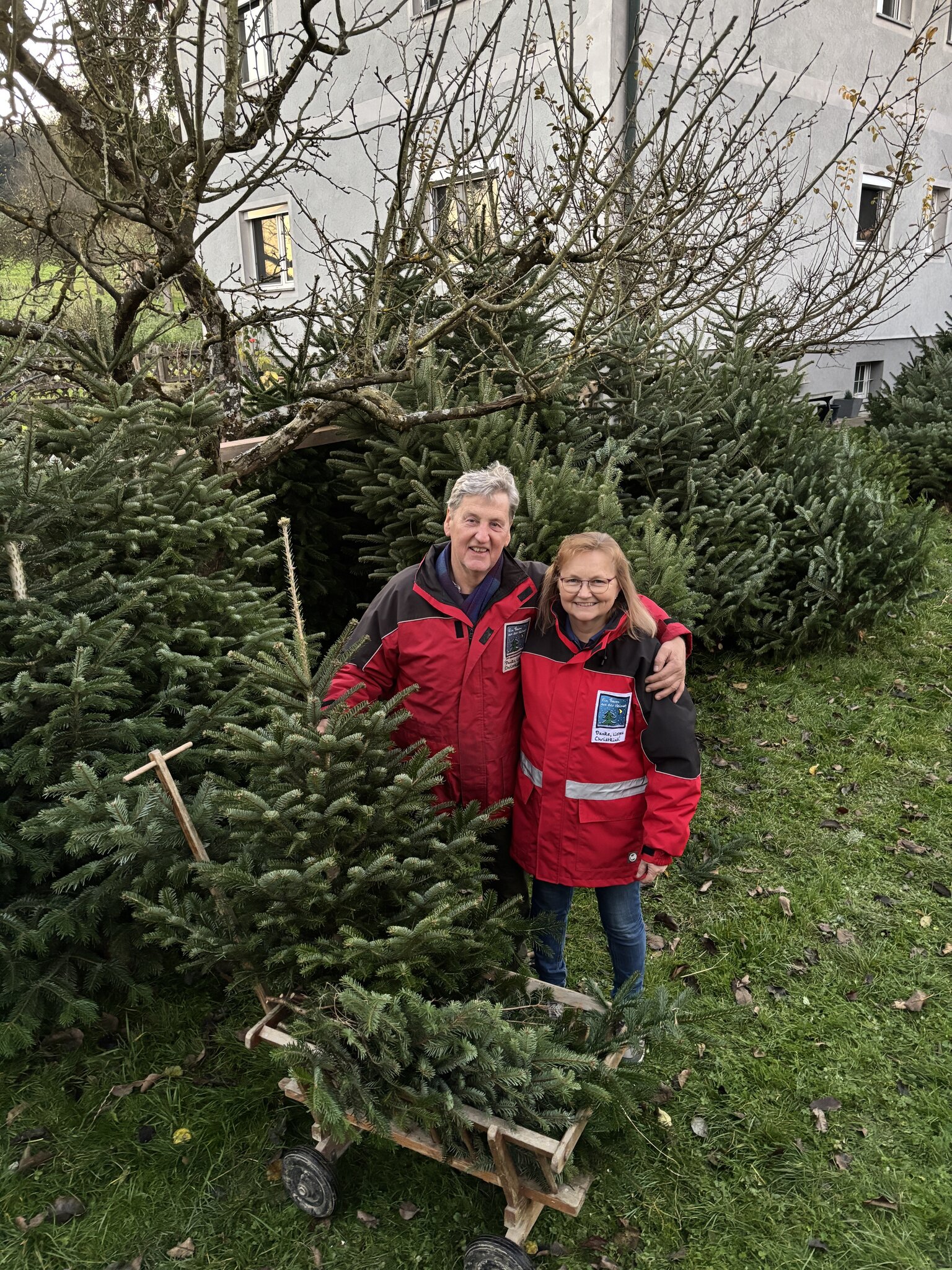 Tips from a professional in Pichl: 35 years of Christmas trees for the ...