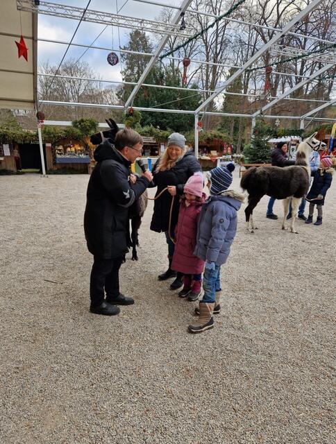 Viele Familien genießen jedes Jahr die Winter-Lamawanderung sehr. | Foto: Alejandra Ortiz