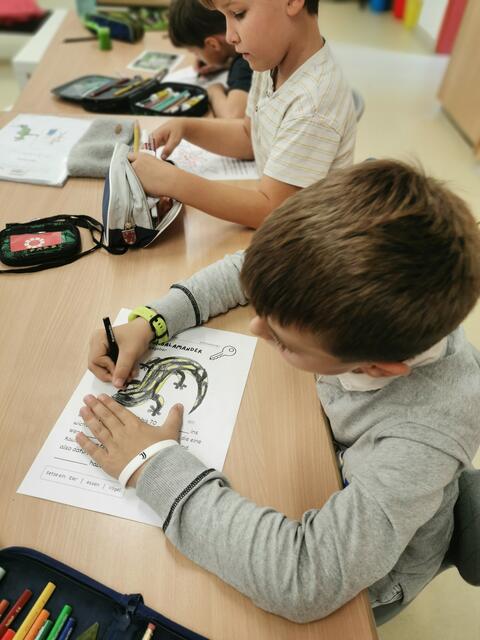 Foto: Modellregion Sulmtal-Sausal