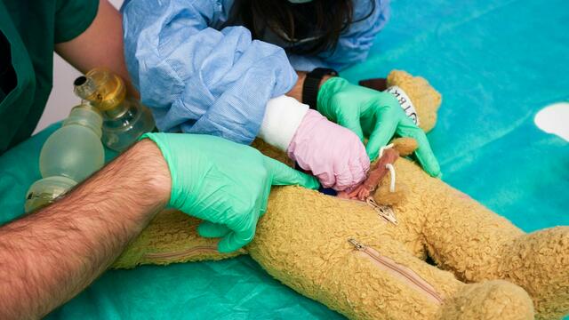Die kuschligen Bären werden in der speziellen Ambulanz geröntgt, operiert und wieder ganz gemacht.  | Foto: Andreas Pölzl/MeinBezirk
