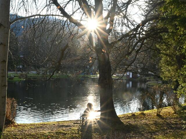 Reichenau, Kurpark