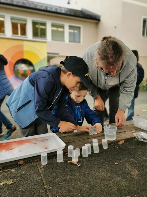 Foto: Modellregion Sulmtal-Sausal