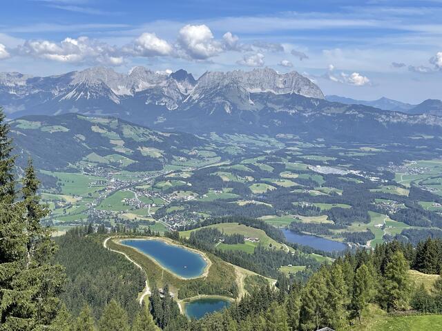 Betriebe aus der Region vor dem Vorhang. | Foto: Kogler