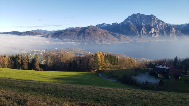 Mittig
Grünberg-Traunstein
Der Nebel "schleicht" sich schon an und am Rückweg
war der Traunsee bereits eingehüllt.
