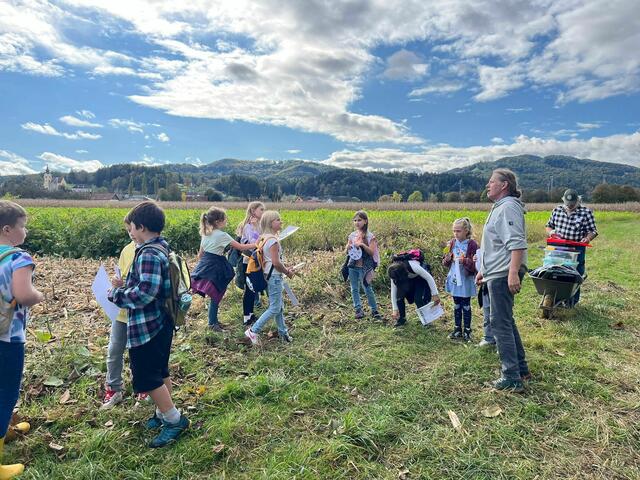 Foto: Modellregion Sulmtal-Sausal