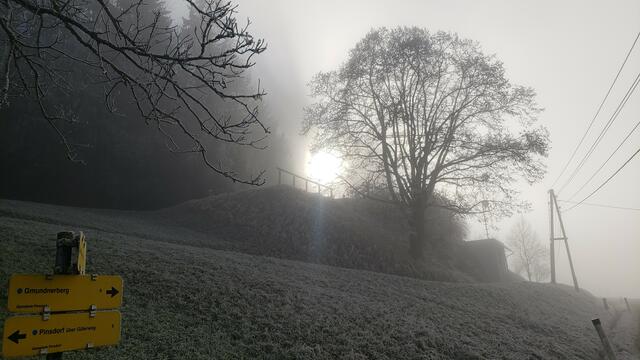 Lichtblick SONNE