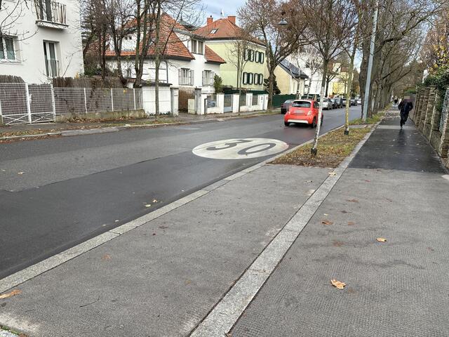 Tempo 30 gilt in der Jagdschlossgasse. Doch wie viele Autofahrerinnen und -fahrer halten sich daran? | Foto: Lisa Kammann