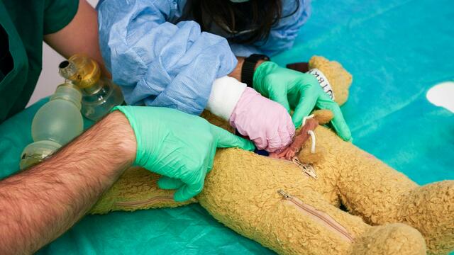 Die kuschligen Bären werden in der speziellen Ambulanz geröntgt, operiert und wieder ganz gemacht.  | Foto: Andreas Pölzl/MeinBezirk