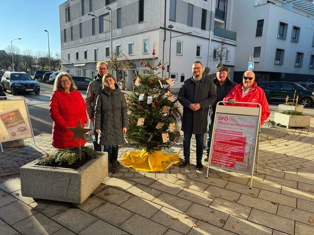 Die SPÖ-Weihnachtsbaum-Aktion geht in die fünfte Runde. | Foto: SPÖ Grieskirchen