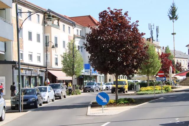 Im Bezirk Güssing  kommen rechnerisch 722 Pkw auf 1.000 Einwohnerinnen und Einwohner. Damit ist hier der Autobesatz der dichteste im Burgenland. | Foto: Martin Wurglits