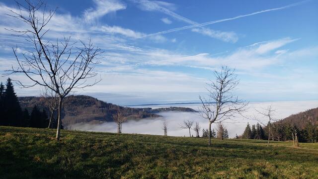 Dichter Nebel im Tal.
Die Sonne hat uns ja im November nicht gerade verwöhnt.