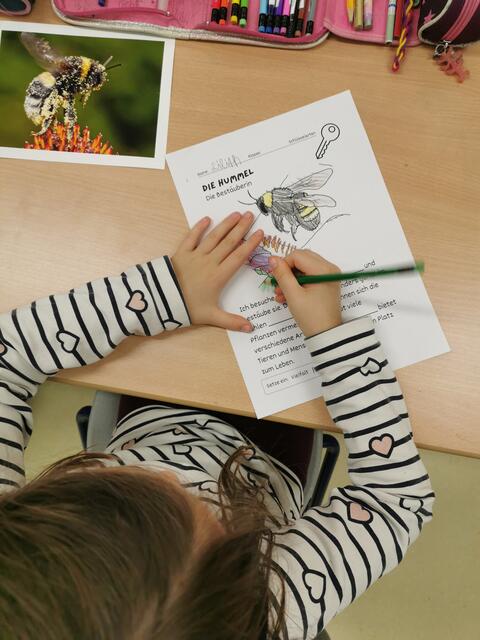 Foto: Modellregion Sulmtal-Sausal