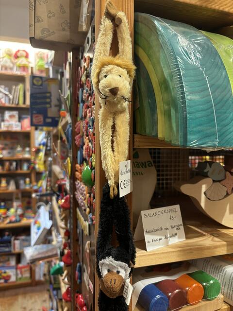 Foto: Philipp Scheiber / MeinBezirk