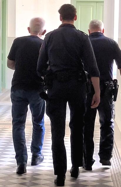 Der Betruigsverdächtige im Landesgericht St. Pölten | Foto: IP