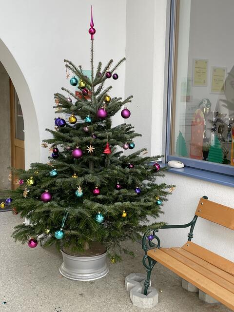 Der Christbaum beim Eingang der Volksschule ist bereits weihnachtlich geschmückt. | Foto: Volksschule Weiden bei Rechnitz