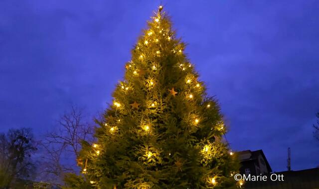 Christbaum, Bad Gleichenberg