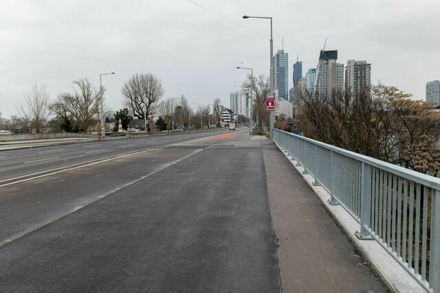 Die Donaustadt hat im Wien-Vergleich besonders wenig Straßenbäume.  | Foto: Markus Spitzauer