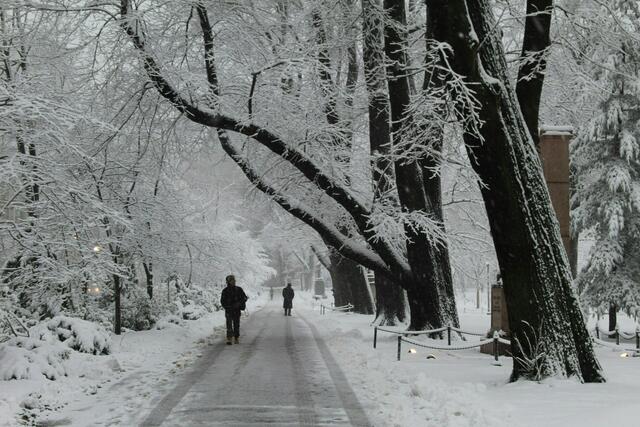 Auch in Wien könnte der Schnee winterliche Landschaften kreieren. | Foto: unsplash