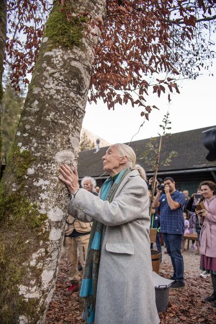 Jane Goodall in Grünau. | Foto: Daniela Matejschek