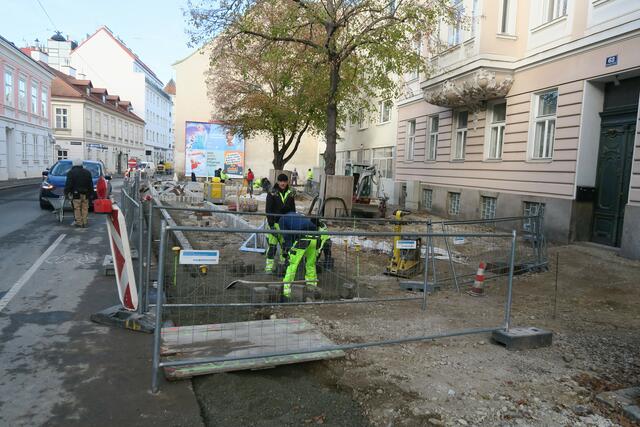 Wo es einst Parkplätze gab, entsteht eine grüne Insel. | Foto: Patricia Hillinger/MeinBezirk