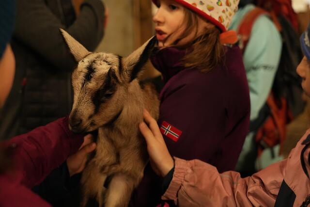 Foto: Julia Perktold