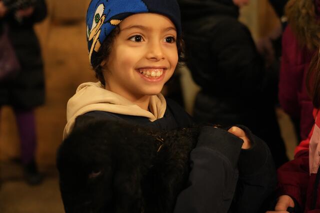 Foto: Julia Perktold