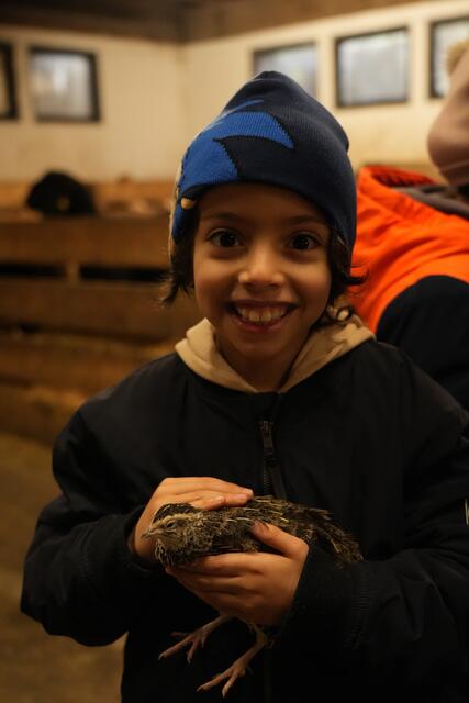 Foto: Julia Perktold