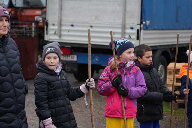 Foto: Julia Perktold