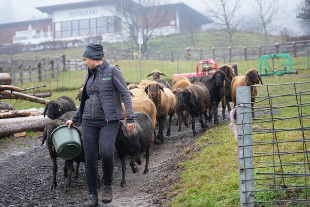 Foto: Julia Perktold