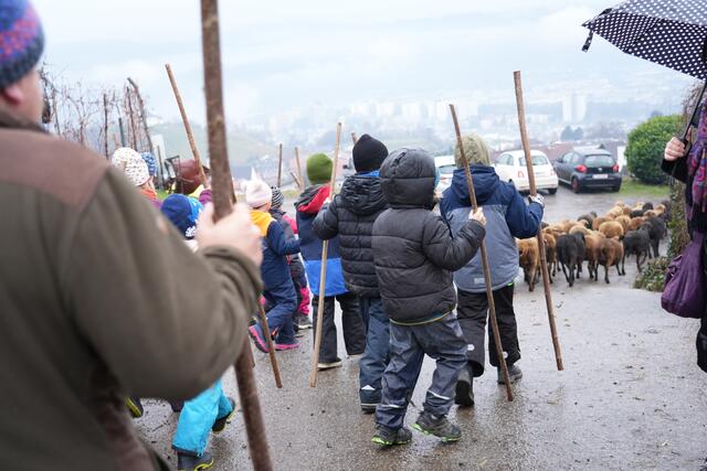 Foto: Julia Perktold