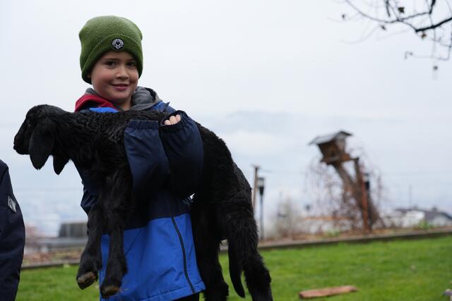 Foto: Julia Perktold