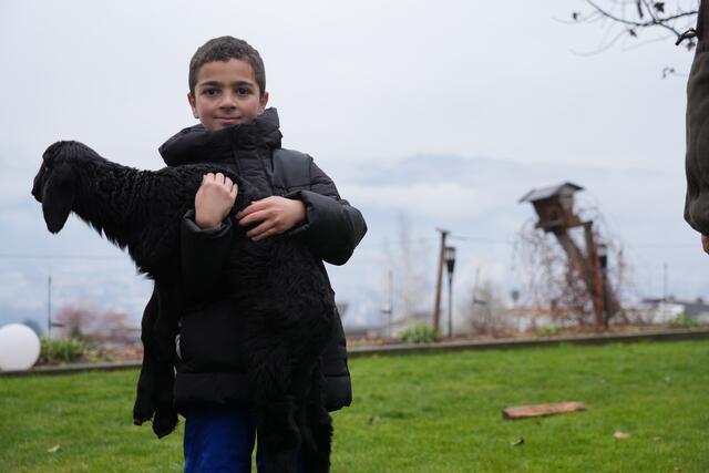 Foto: Julia Perktold