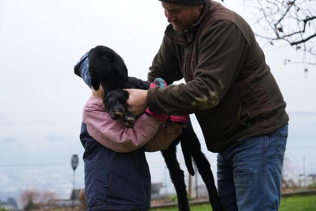 Foto: Julia Perktold