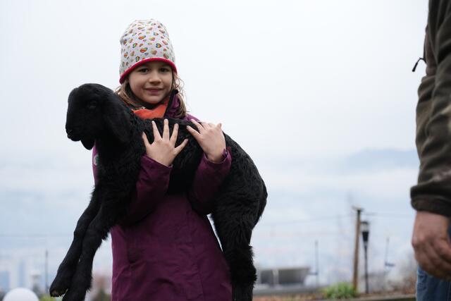 Foto: Julia Perktold