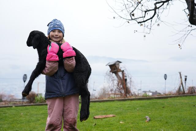 Foto: Julia Perktold