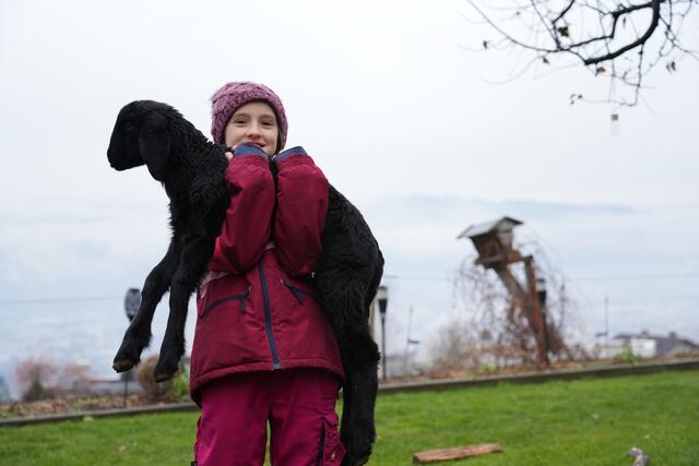 Foto: Julia Perktold