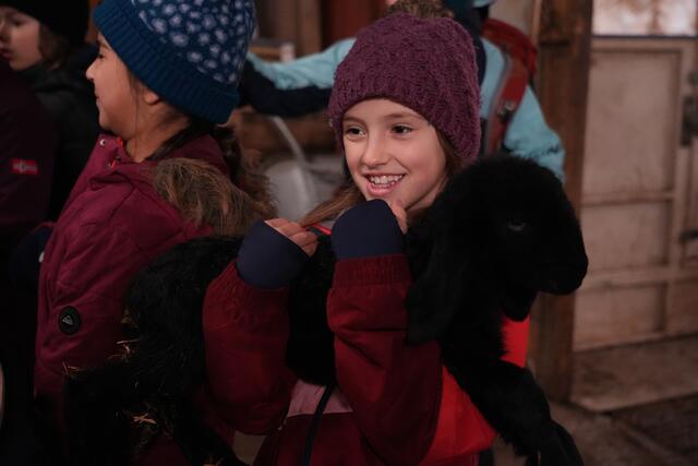 Foto: Julia Perktold