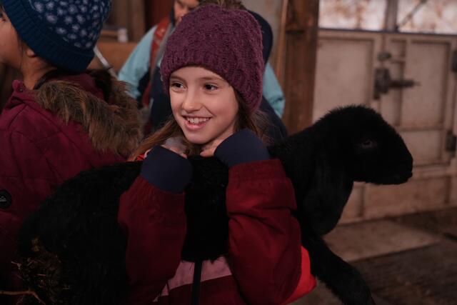 Foto: Julia Perktold