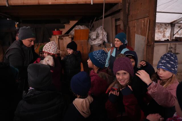 Foto: Julia Perktold