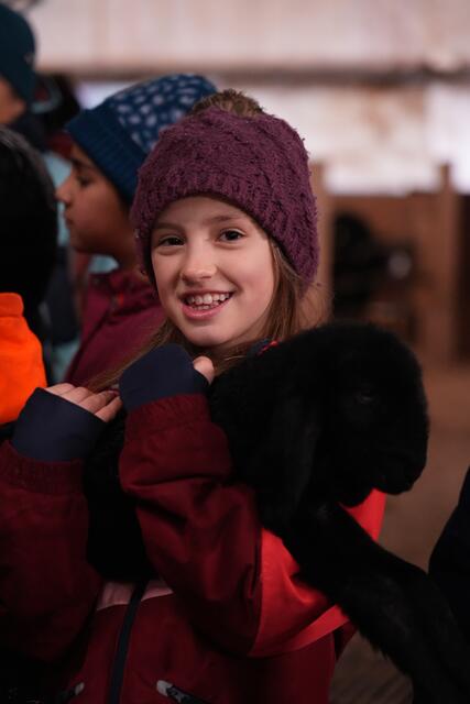 Foto: Julia Perktold