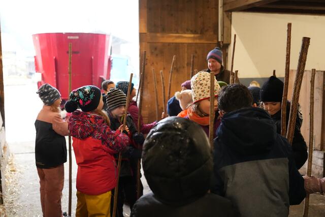 Foto: Julia Perktold