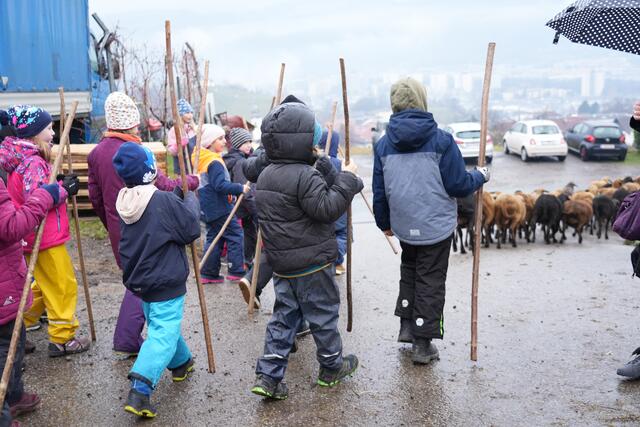 Foto: Julia Perktold