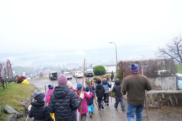 Foto: Julia Perktold