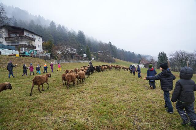 Foto: Julia Perktold