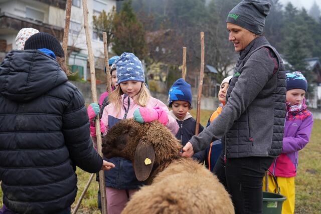 Foto: Julia Perktold